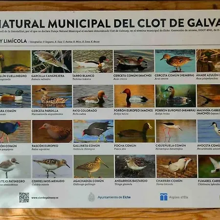 La Casita Del Clot Puerto Marino